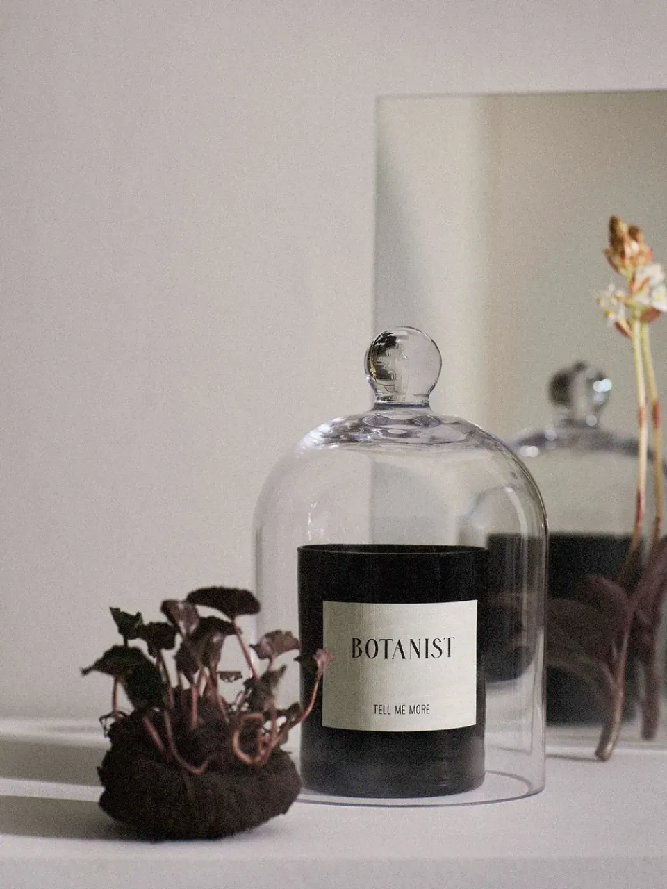 Discount Tell Me More Vela aromática 48 h, Botanist NegroBlanco